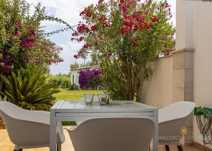 Club Del Sol 8 * 波连萨港